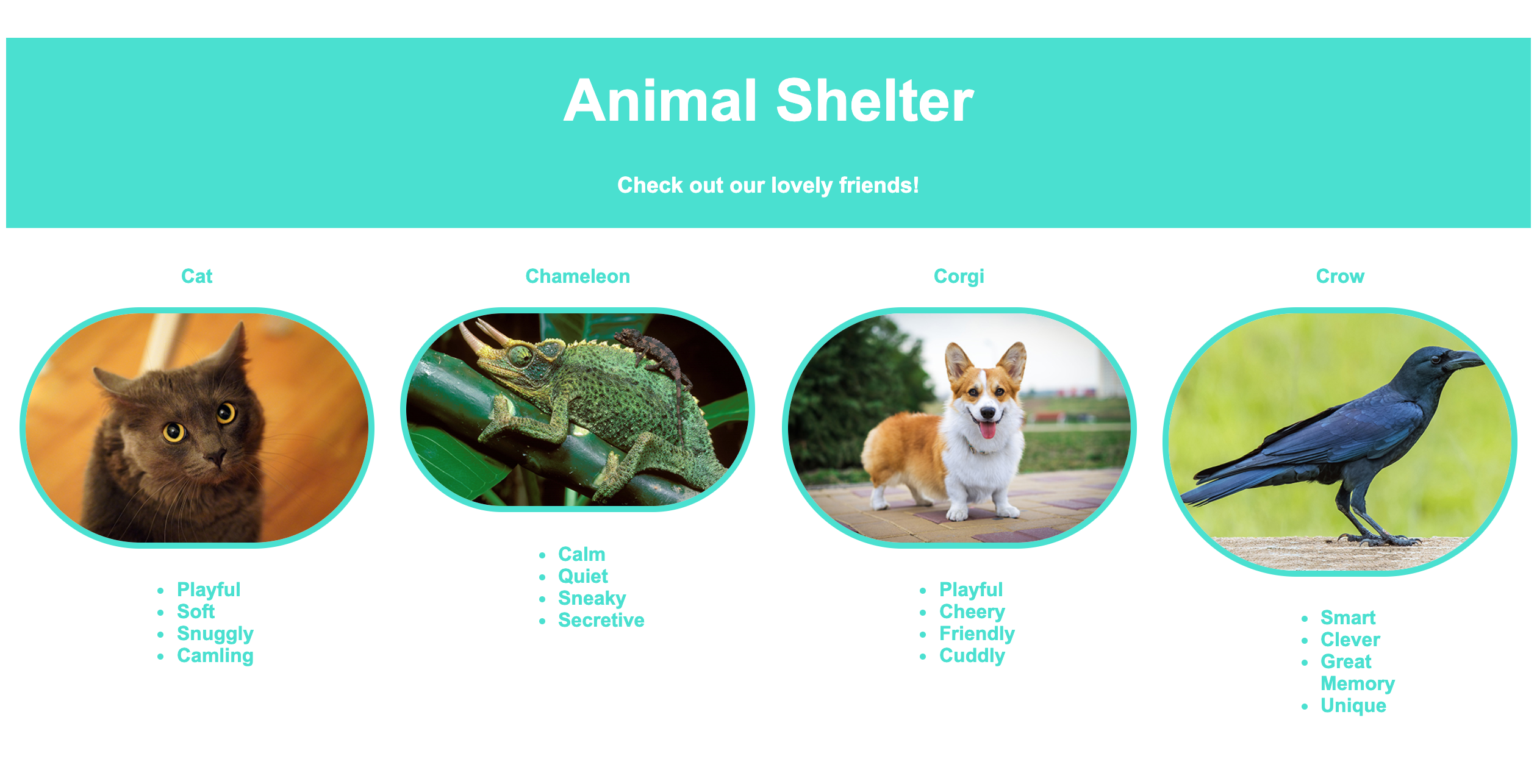 Image of Animal Shelter Website